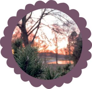 Silvester Hintergrund