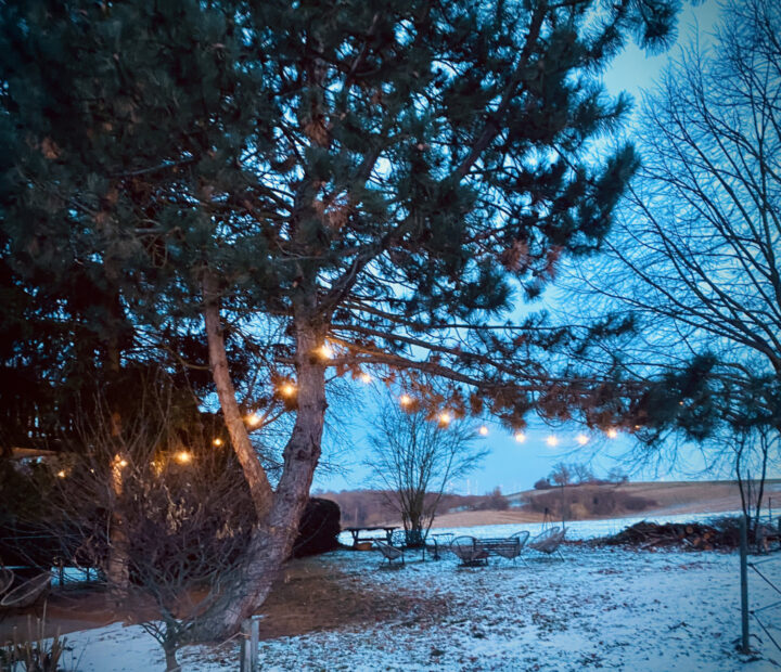 Winterauszeit auf dem Vanilla Hof